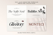 The Erupha Serif | 12 Font Files, a Serif Font by Pista Mova (Thumbnail 24 of 24)