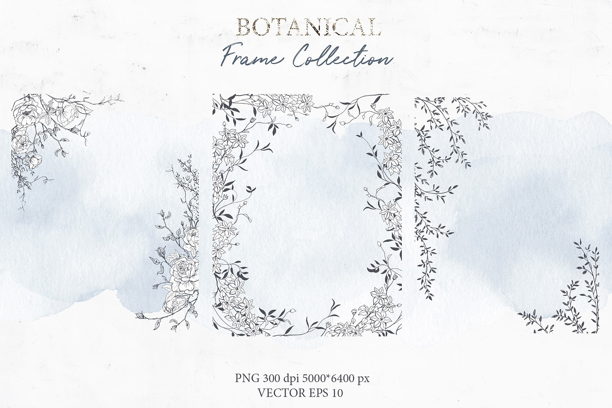 Rich Botanicals & Monograms, a Texture Illustration by Pink Ocean (Photo 15 of 17)