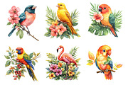 Tropical Birds Garden Clipart, an Icon by Dream Creation (Thumbnail 4 of 6)