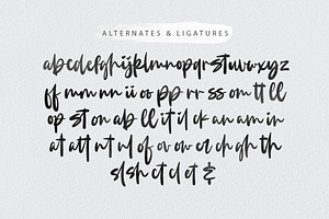 Jasmine Handwritten Font