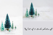 Woodland Ornaments Stock Photos, a Business Photo by CarmenCreativeStudio (Thumbnail 1 of 3)