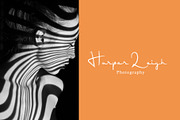 OrangePumpkin - Script Font Duo, a Script Font by erlosDESIGN (Thumbnail 4 of 11)