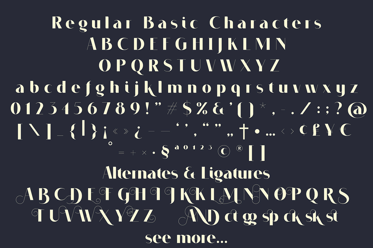 VOGUER Sans family preview 3
