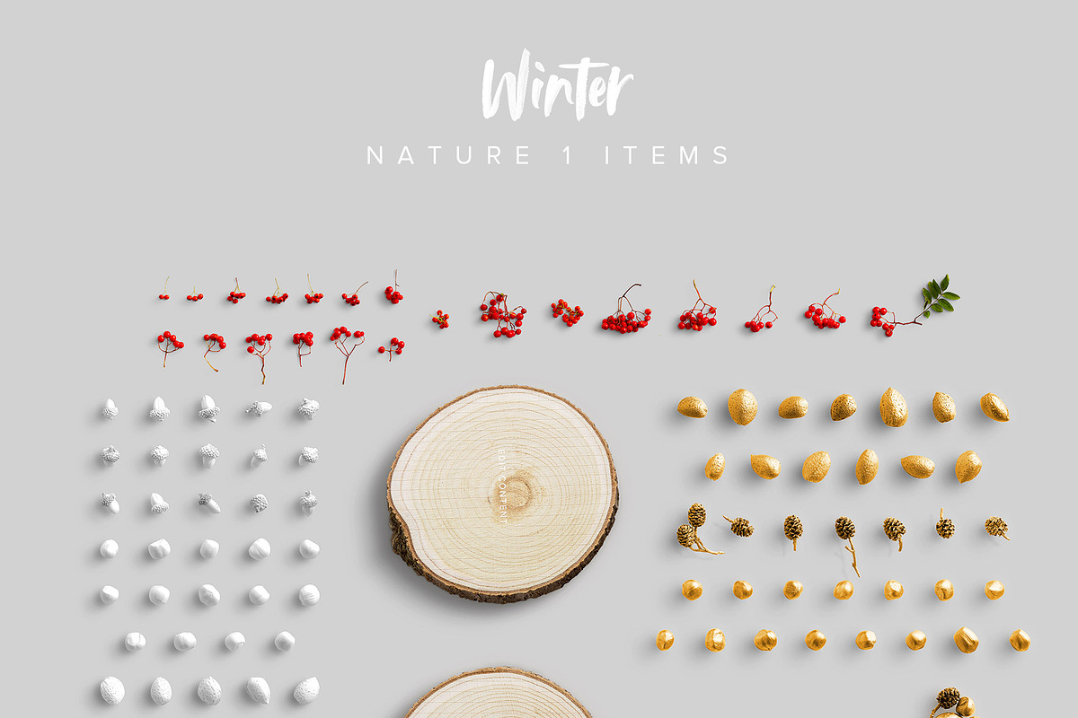 Winter Scene Creator Bundle, a Books & Magazine Mockup by Custom Scene (Photo 32 of 32)