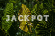 Bold Line Font, a Sans Serif Font by Fourteen Letter (Thumbnail 2 of 7)