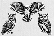Owl Illustration Pack, an Animal Illustration by Tekuni (Thumbnail 6 of 12)