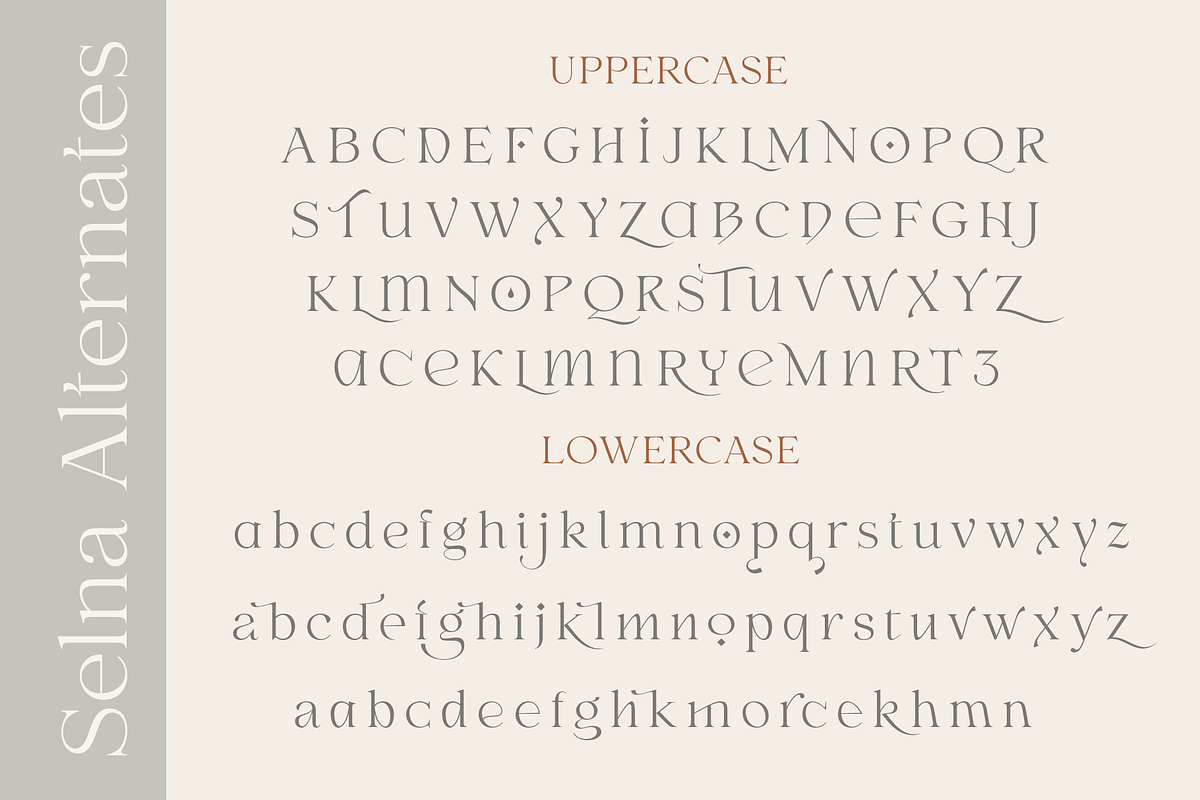Selna, a Serif Font by Larin Type Co. (Photo 14 of 15)