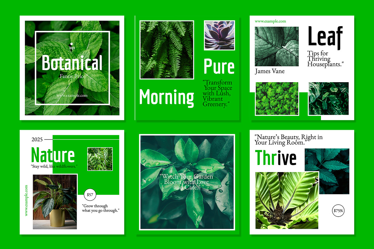 Botanical Social Media Post Layout, an UI Kit Template by CreativeShaper (Photo 2 of 3)