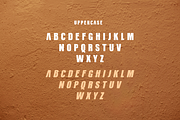 Terracota, a Sans Serif Font by almazstudio (Thumbnail 8 of 10)