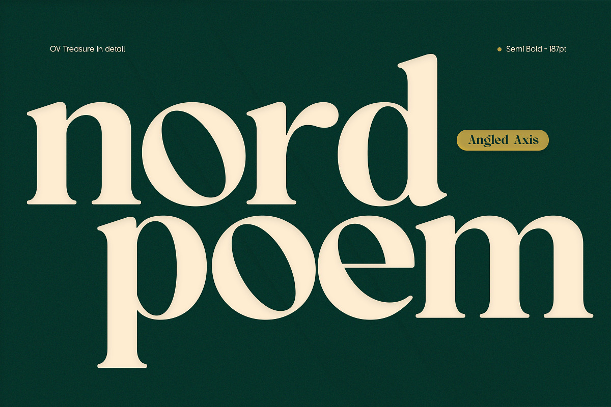 OV Treasure Retro Serif Font Family, a Serif Font by OV Type (Photo 18 of 21)