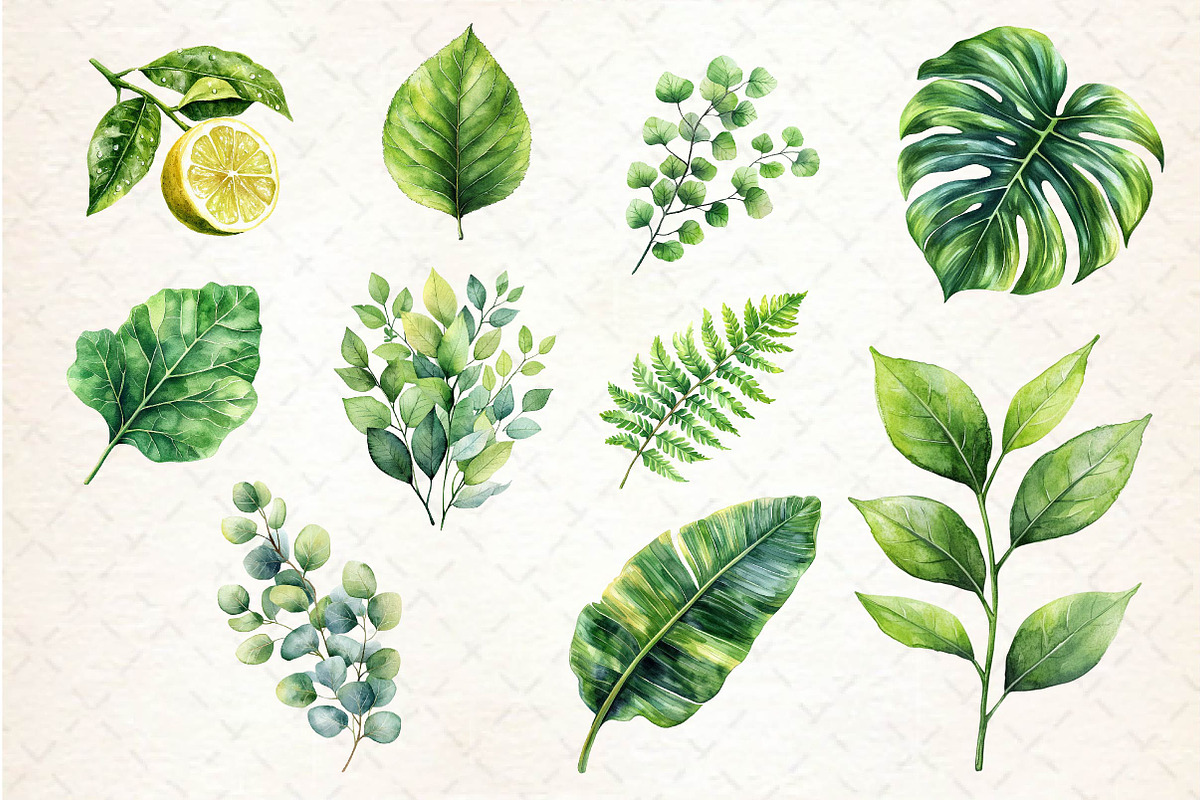 Green Summer Foliage Clipart, an Illustration by Dream Creation (Photo 4 of 4)