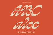 HEYDAY DISPLAY FONT, a Script Font by Tropical Type (Thumbnail 5 of 11)