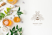 Pre-made Logo Templates + Packaging., a Branding & Logo Template by Olya Creative (Thumbnail 8 of 14)