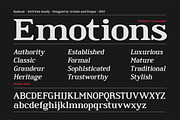 Kashmir - Serif font family, a Serif Font by Artistic & Unique (Thumbnail 4 of 15)