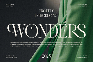 Wonders - Modern Elegant Luxury, a Serif Font by Shakira Studio