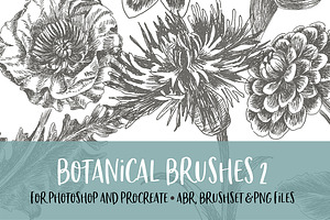 Botanical 2 Brush For PS/PRO