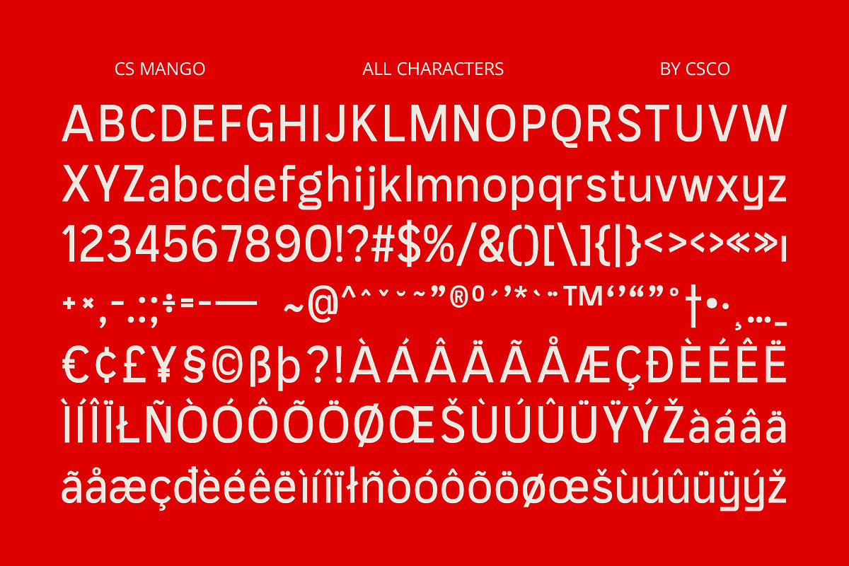 CS Mango – Grotesque Font, a Sans Serif Font by Craft Supply Co. (Photo 8 of 8)
