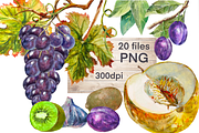 Fruits collection, watercolor set, a Food Illustration by AkvarelRiver (Thumbnail 3 of 6)