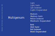 Multigenum - Serif font family, a Serif Font by Artistic & Unique (Thumbnail 6 of 15)