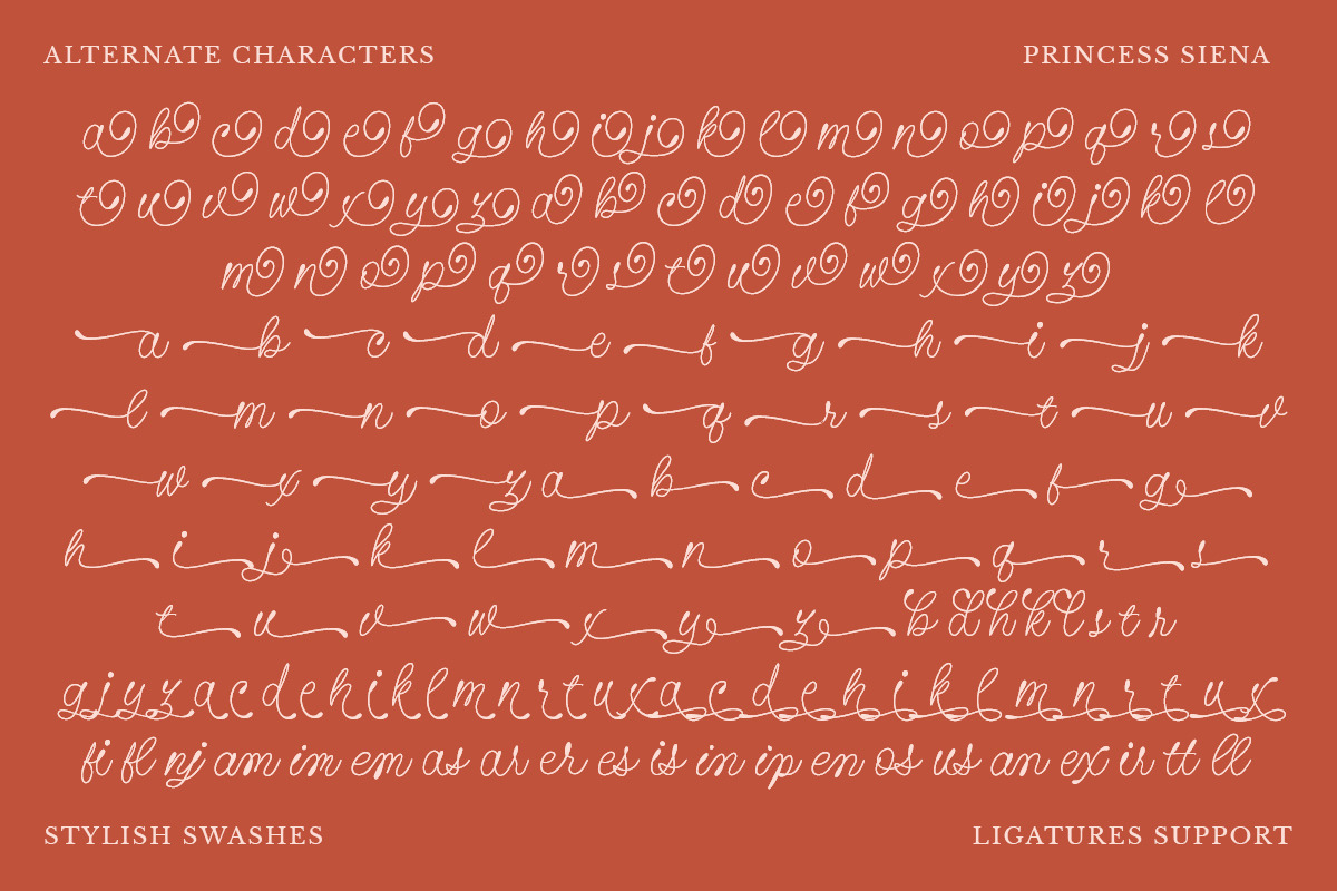 Princess Siena - A Whimsical Script, a Handwritten Font by Get Studio (Photo 13 of 13)