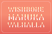 Firefly Elegant Display Font, a Sans Serif Font by SelfBuild Type (Thumbnail 2 of 7)