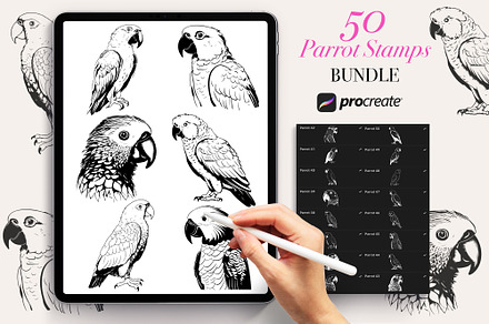 50 Parrot Procreate Stamps Brushe, a Brush Add-On by Procreate Sale