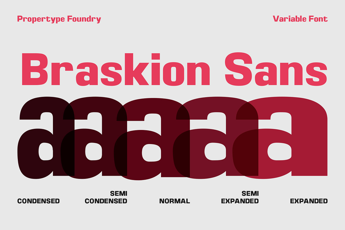 Braskion, a Sans Serif Font by Propertype (Photo 14 of 15)