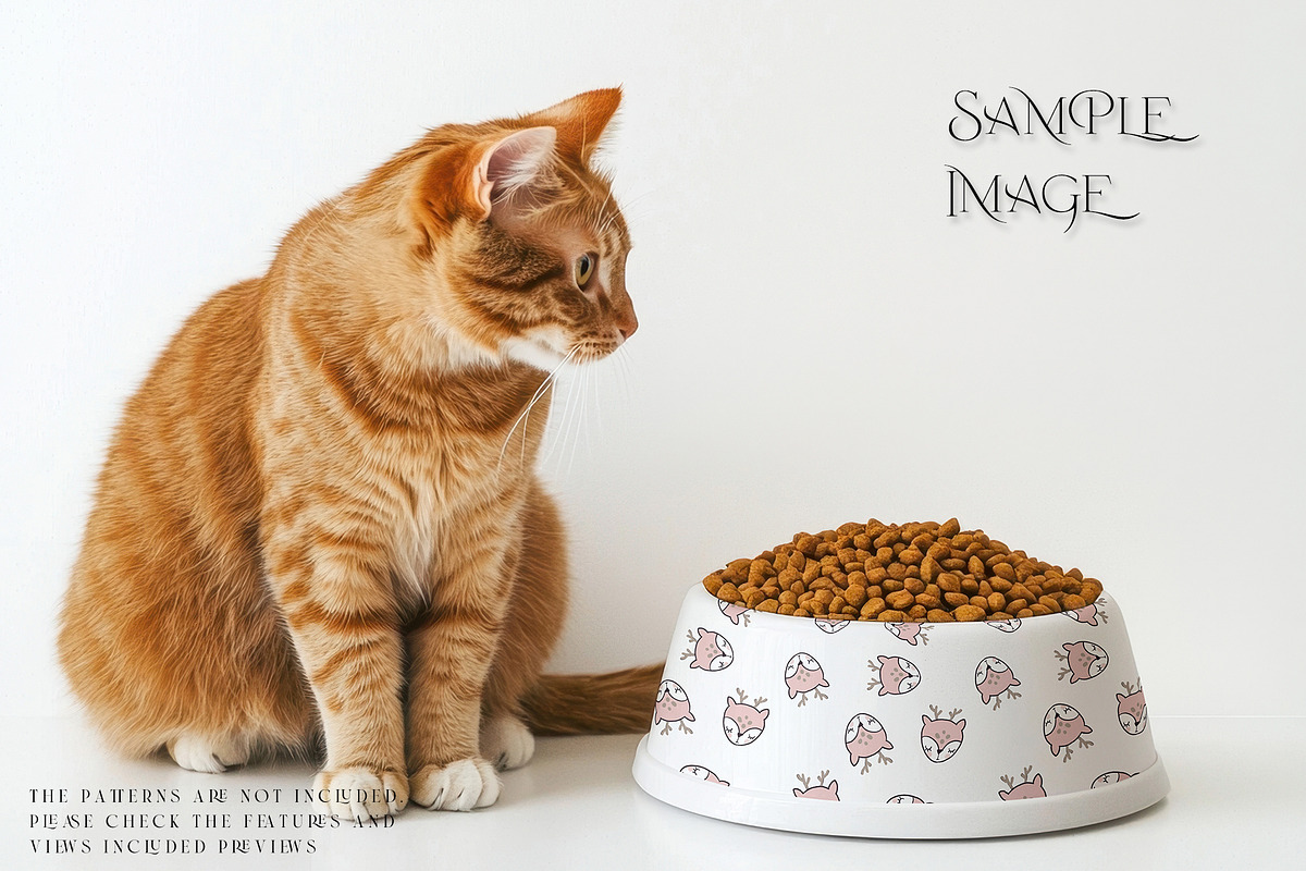 Pet Bowls PNG & PSD Mockups, a Product Mockup by mock-ups (Photo 12 of 12)