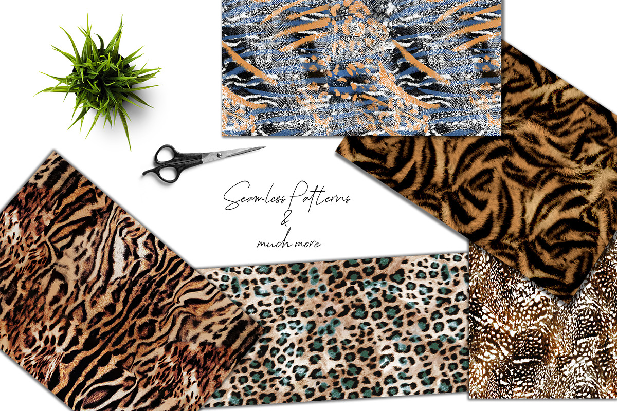 Tiger and Leopard, a Pattern Graphic by Luiz da Rolt Grathwohl (Photo 10 of 10)