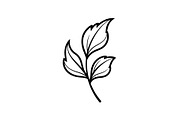 Hand Drawn Leaf Line Art Bundle, an Illustration by hafijul (Thumbnail 39 of 51)