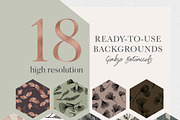 Ginkgo Botanicals - Florals & Leaves, an Illustration by Momo Studio (Thumbnail 9 of 13)