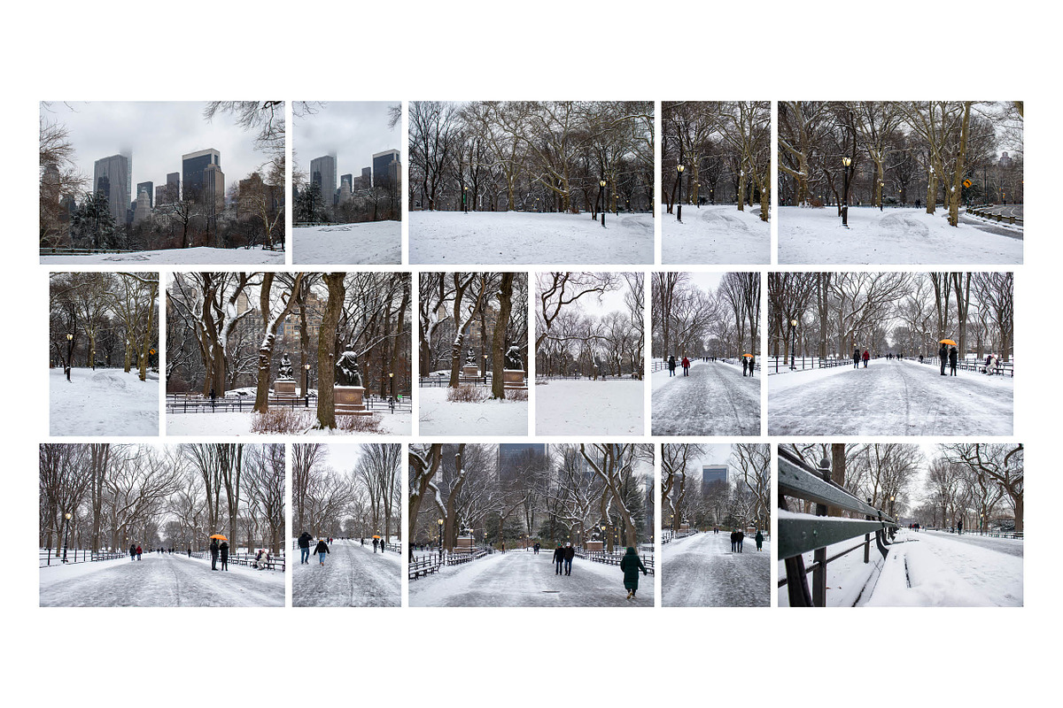 Winter In Central Park NYC Photos, an Arts & Entertainment Photo by Full Circle Design Studio (Photo 5 of 5)
