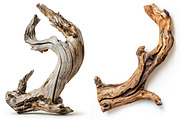 Wood - 163 images, a Nature Photo by Handmadefont (Thumbnail 24 of 25)
