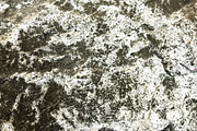 Textures of Reykjavik, a Texture Graphic by Jackson Fish Market (Thumbnail 4 of 17)