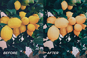 5 Sunflower Lightroom Presets, a Preset Add-On by TheWayfarerShoppe (Thumbnail 3 of 7)