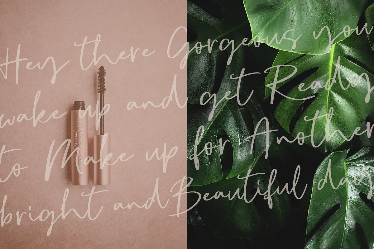 Sophia Reign signature font duo preview 5