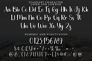 Anythink, a Handwritten Font by FreshTypeINK (Thumbnail 8 of 8)
