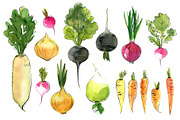 Food watercolor. Vegetables, a Food Illustration by irina.vaneeva (Thumbnail 14 of 25)