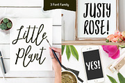 Mates Malty, a Script Font by Typesketchbook Foundry (Thumbnail 2 of 6)
