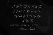 Business Signature - Font, a Script Font by Nirmana Visual (Thumbnail 4 of 7)