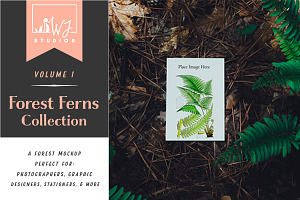 Fern Mockup 1 - Vol. 1, a Print Template by Wild Joy Studios