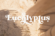 Grande - Retro Font, a Serif Font by Sans & Sons (Thumbnail 9 of 11)