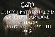 Goat - Script Font, a Script Font by InermediaSTUDIO (Thumbnail 6 of 6)