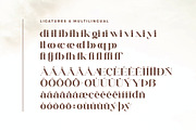 Balgeri - Modern Serif Font, a Serif Font by Aqeel_Art (Thumbnail 9 of 10)