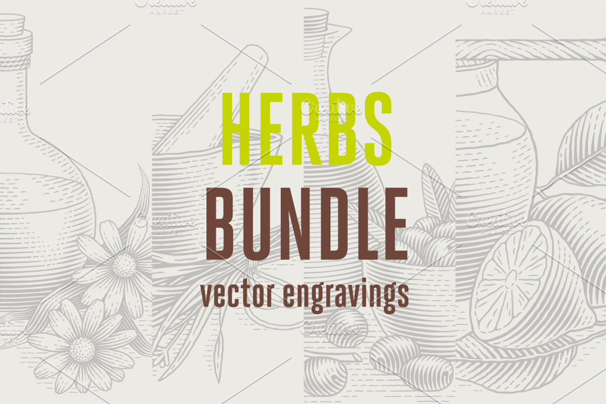 Herbs Bundle engravings, a Food Illustration by Irina Trusova (Photo 1 of 9)