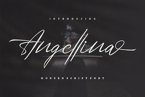 Angellina - Modern Script, a Script Font by VUNIRA