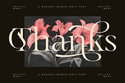 Mevara - Elegant Serif with Flourish, a Serif Font by Glyphofik x GudPap (Thumbnail 15 of 15)