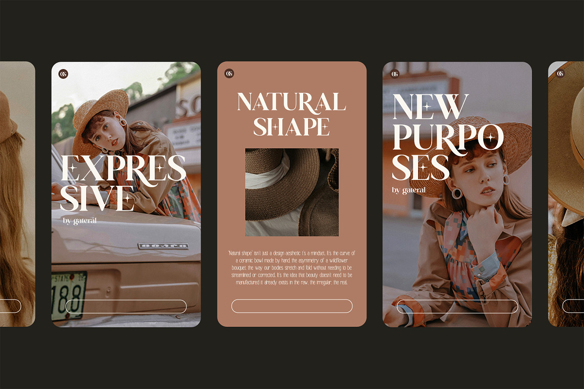 TT Gateral – Elegant Serif Typeface, a Serif Font by truetype (Photo 11 of 15)