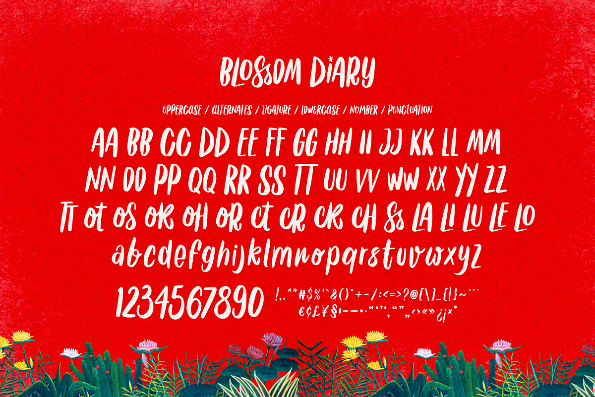 Blossom Diary-Chic Handwritten Font, a Handwritten Font by ikiiko (Photo 6 of 7)
