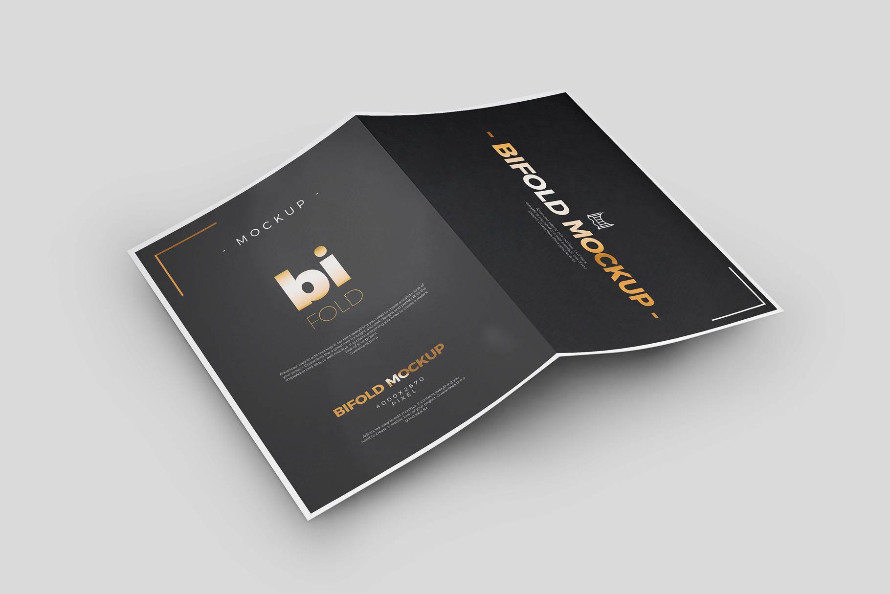 Bi-Fold A5 Brochure / Mock-up 3, a Print Template by Nevada63
